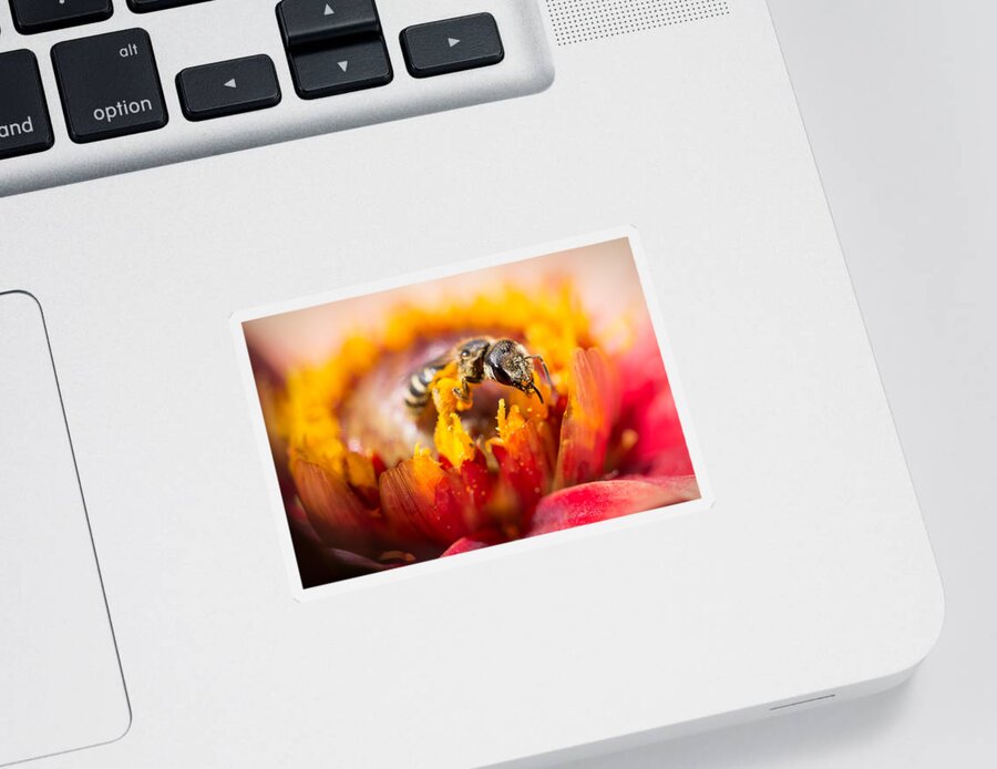 Pollination Sticker featuring the photograph Pollination by Priya Ghose