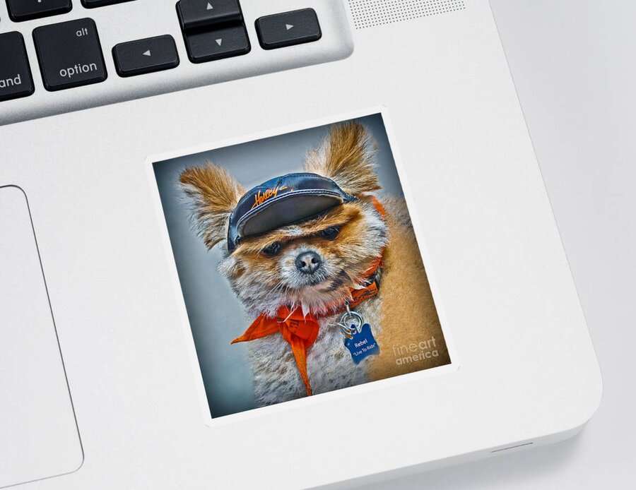 Pomeranian Biker Dog Sticker featuring the photograph Pomeranian Biker Dog by Gary Keesler