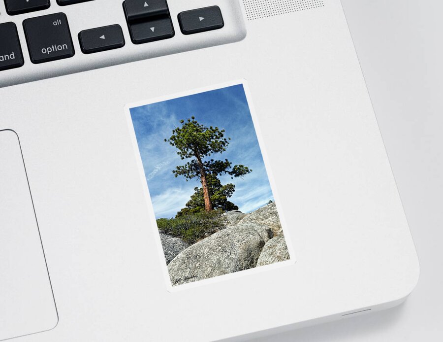 Beauty In Nature Sticker featuring the photograph Ponderosa Pine and Granite Boulders by Jeff Goulden