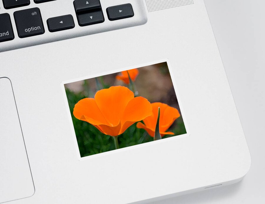 Floral Sticker featuring the photograph Poppy 21 by Pamela Cooper