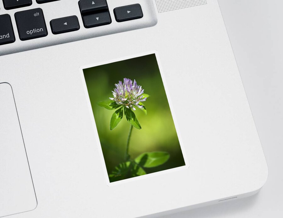 Clover Sticker featuring the photograph Purple Clover Flower by Christina Rollo