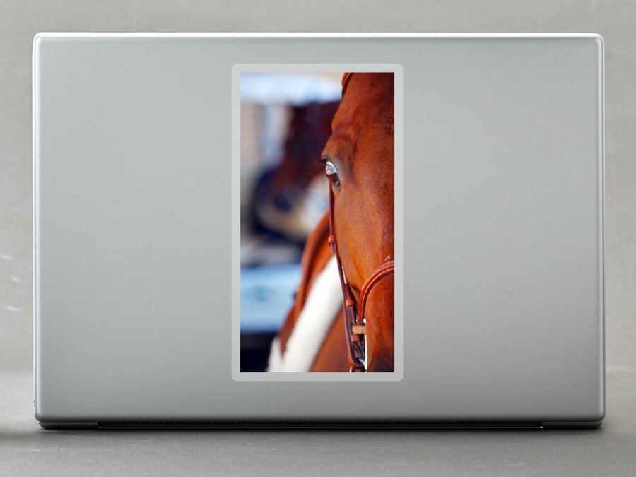 Ride Sticker featuring the photograph Quarter Horse Eye by Jerry Sodorff