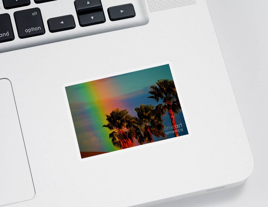 Rainbow Sticker featuring the photograph Rainbow Palms in Florida by Susanne Van Hulst