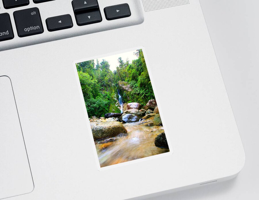 Waterfall Sticker featuring the photograph Rainforest Stream New Zealand by Amanda Stadther