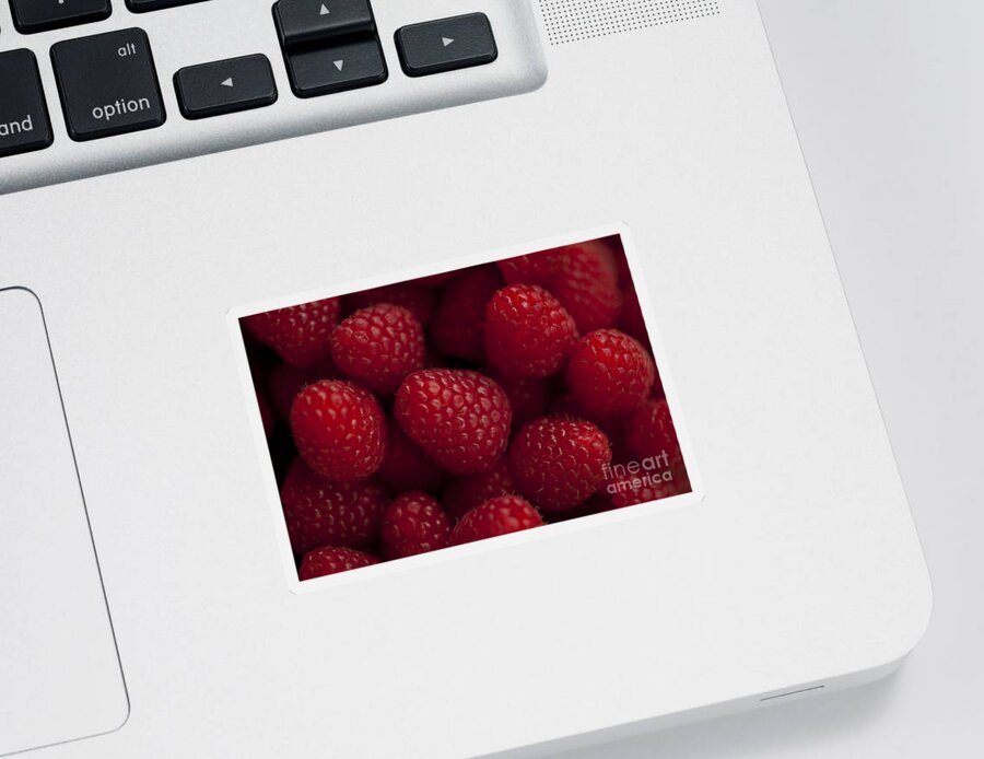 Abundance Sticker featuring the photograph Raspberries by Jim Corwin