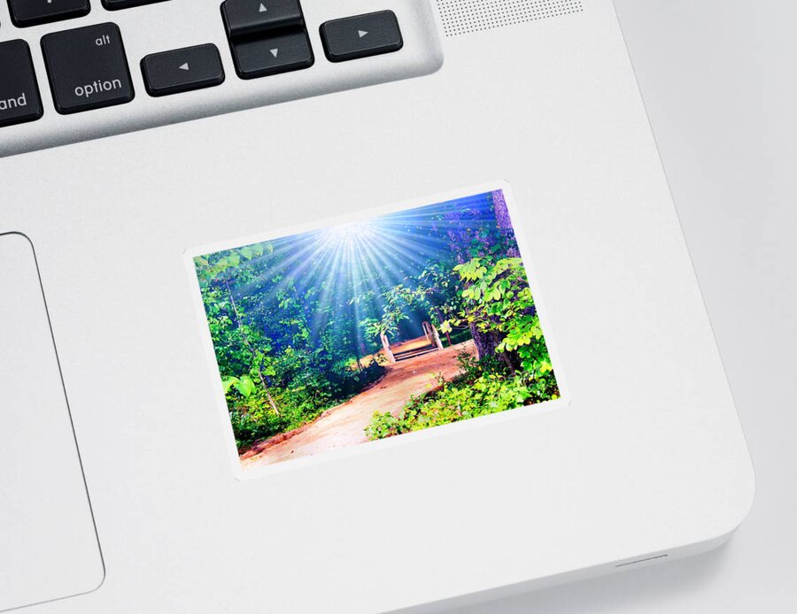 Nature Sticker featuring the photograph Rays Of Light To Guide The Path by Judy Palkimas