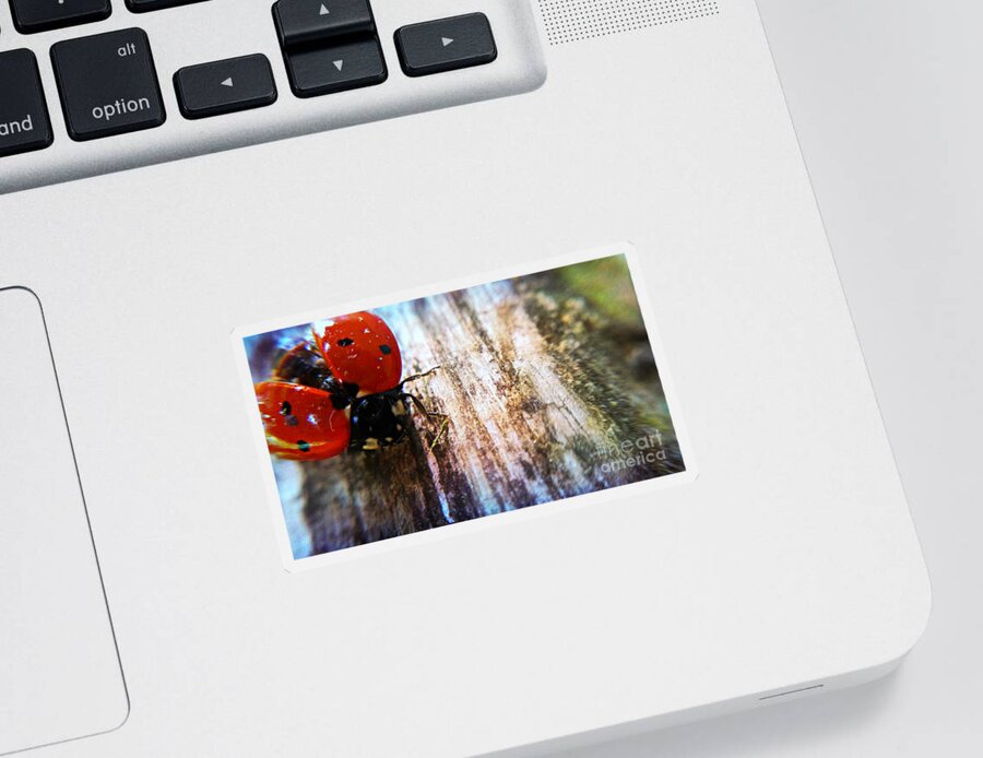 Lady Bug Macro Sticker featuring the photograph Ready For Take Off by Peggy Franz