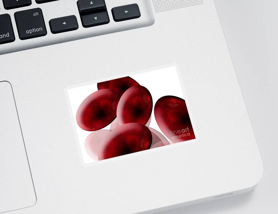 Anatomy Sticker featuring the photograph Red Blood Cells by Sigrid Gombert