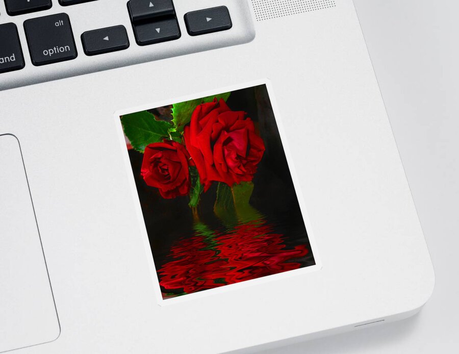 Red Sticker featuring the photograph Red Roses Reflected by Joyce Dickens