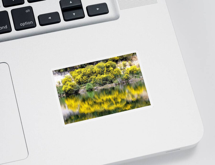 Scenic Sticker featuring the photograph Reflections of Yellow by AJ Schibig