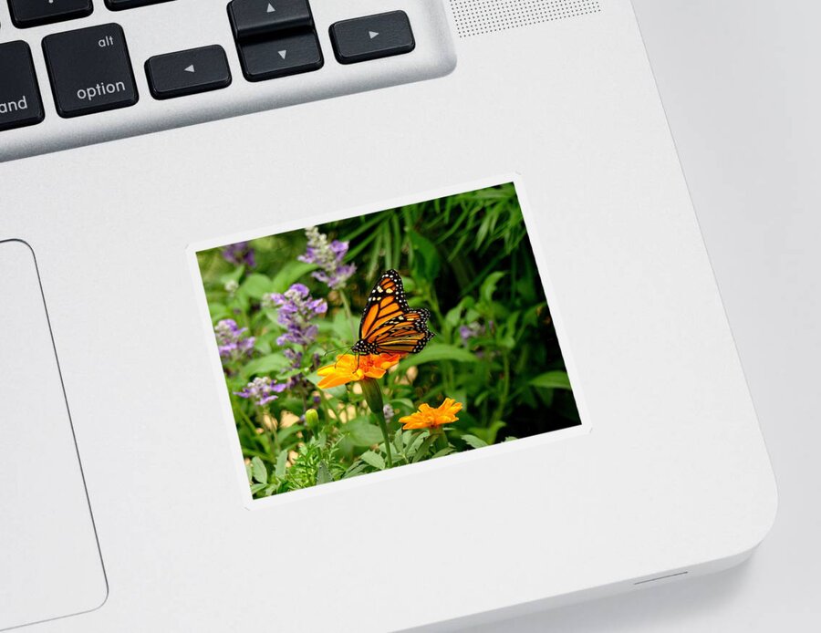 Fine Art Sticker featuring the photograph Renewed by Rodney Lee Williams