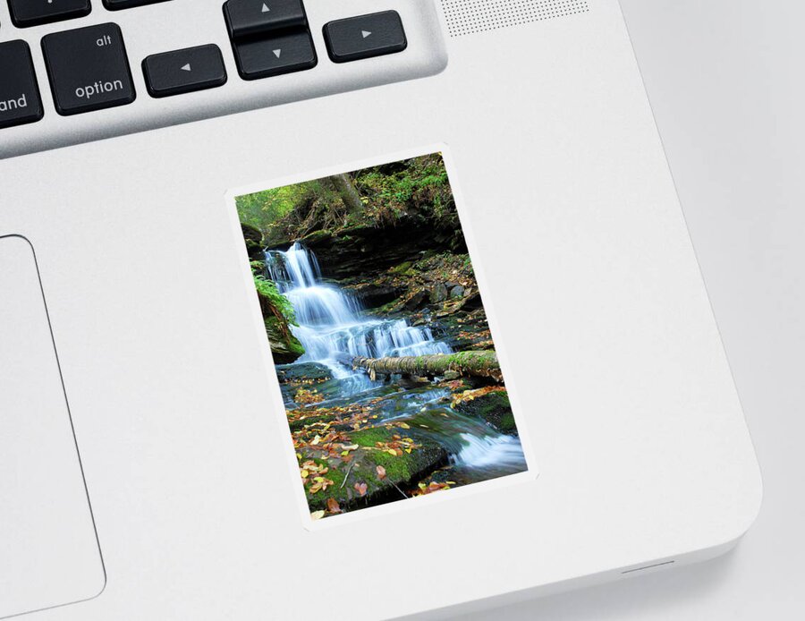 Cascade Waterfalls Sticker featuring the photograph Ricketts Glen Hidden Waterfall by Crystal Wightman