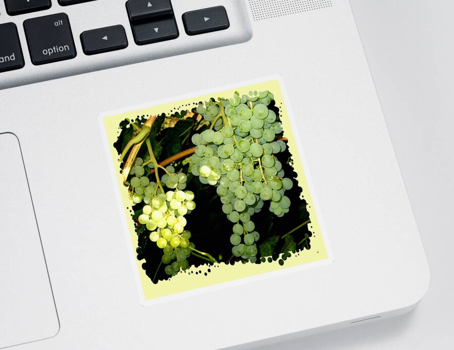 Ripe On The Vine Sticker featuring the photograph Ripe On The Vine by Will Borden
