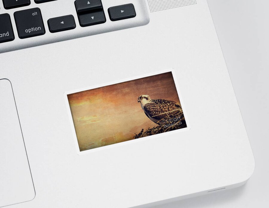 Osprey Sticker featuring the photograph Rising Sun by Edward Fielding