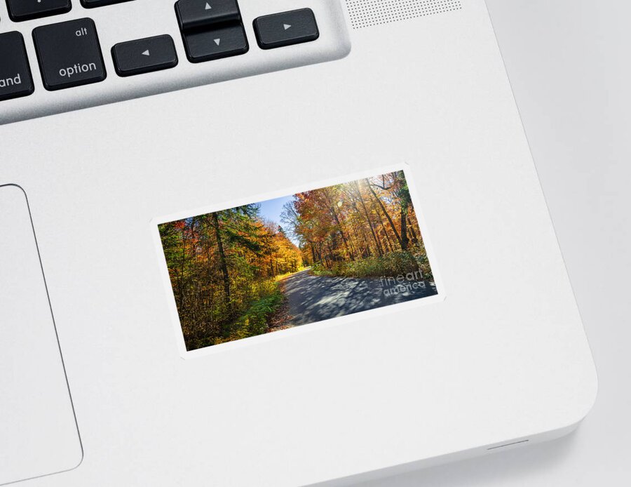 Road Sticker featuring the photograph Road through fall forest by Elena Elisseeva