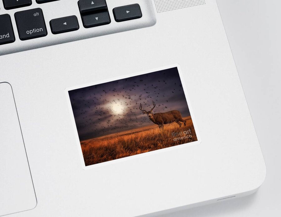 Mule Deer Sticker featuring the photograph Rocky Mountain Arsenal Deer and Birds by Priscilla Burgers