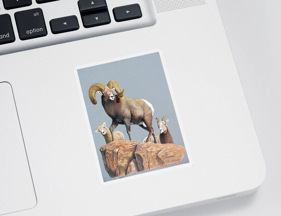 Rocky Mountain Bighorn Ram Sticker featuring the painting Rocky Mountain Ram Ewe and Lamb by Darcy Tate