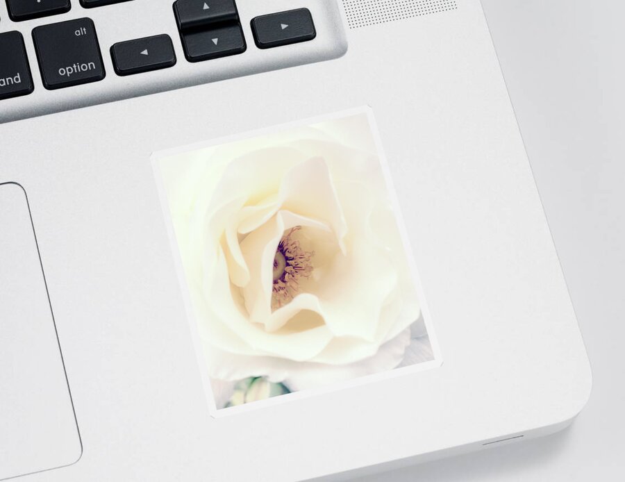 Love Sticker featuring the photograph Romance in a Rose by Spikey Mouse Photography