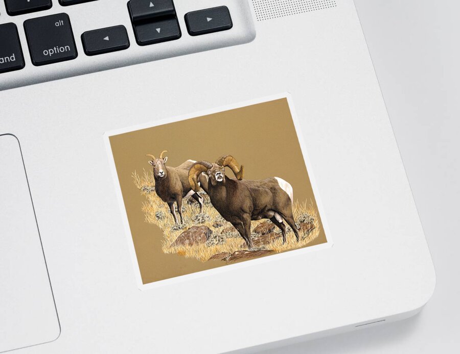 Rocky Mountain Bighorn Ram Sticker featuring the painting Romeo by Darcy Tate