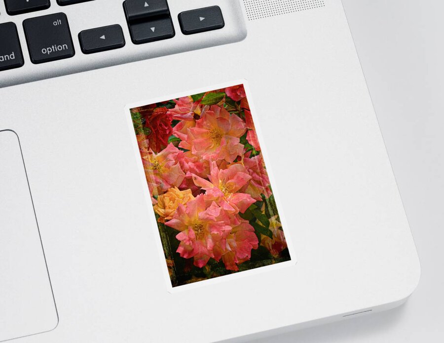 Floral Sticker featuring the photograph Rose 301 by Pamela Cooper