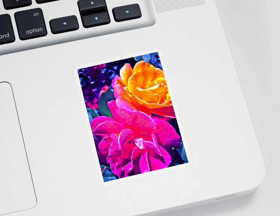 Flowers Sticker featuring the photograph Rose 49 by Pamela Cooper