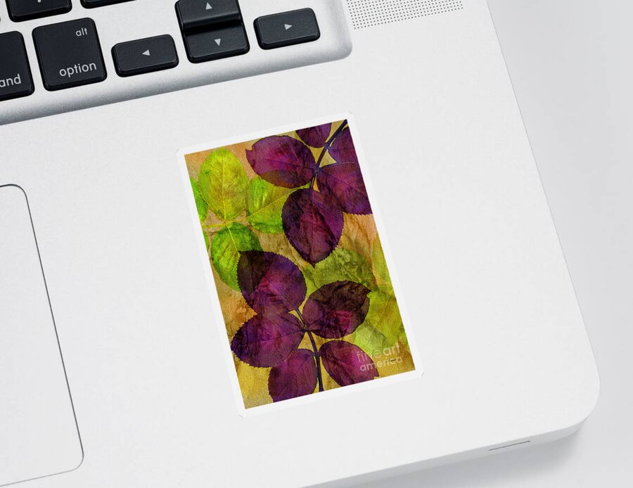 Claudia's Art Dream Sticker featuring the photograph Rose Clippings Mural Wall by Claudia Ellis