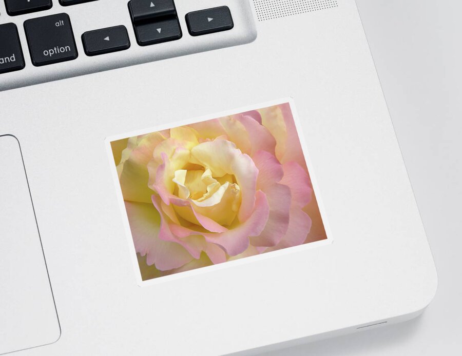 Rose Sticker featuring the photograph Rose Flower Parfait by Jennie Marie Schell