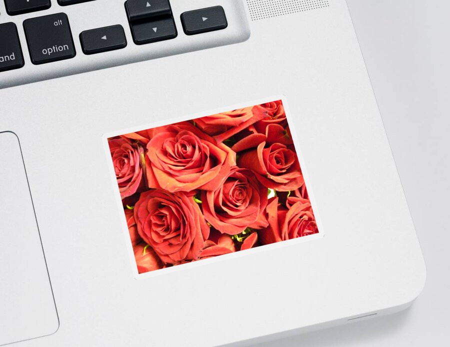 Wall Sticker featuring the photograph Roses On Your Wall by Joseph Baril