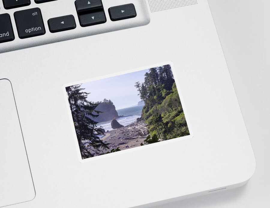  Beach Sticker featuring the photograph Ruby Beach by Cathy Anderson