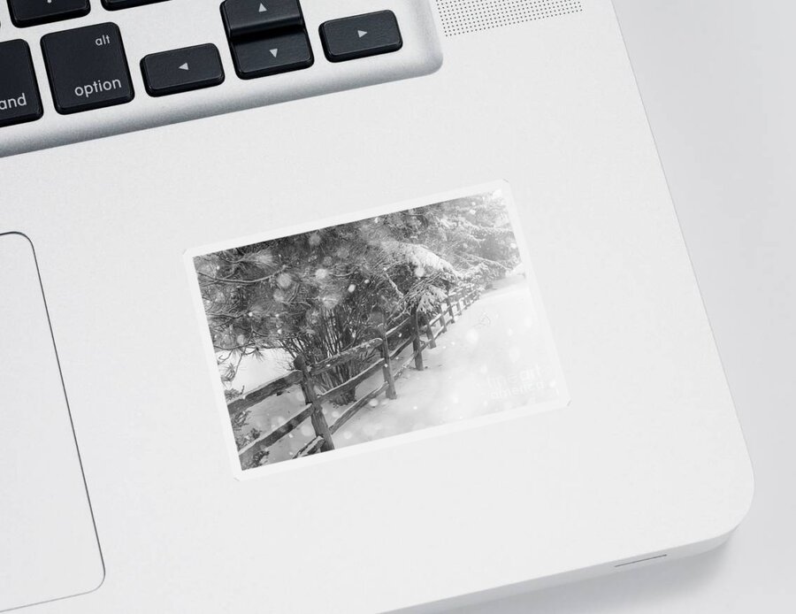 Winter Sticker featuring the photograph Rural winter scene with fence 5 by Elena Elisseeva