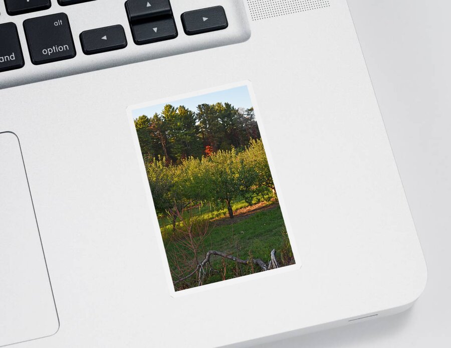 Russel Sticker featuring the photograph Russel Farms Forestland by Toby McGuire