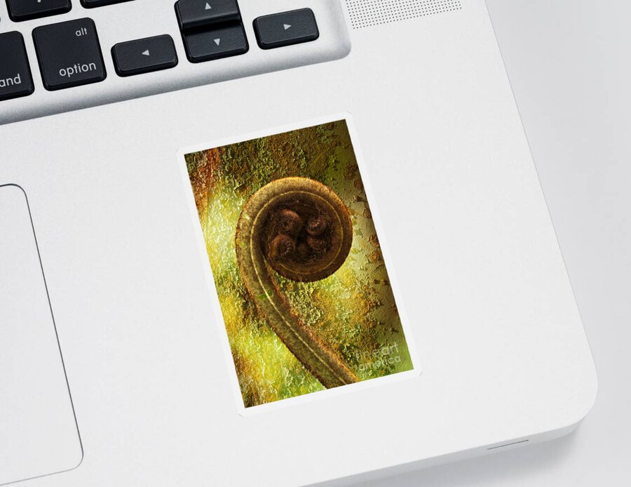 Plant Sticker featuring the photograph Rust and Fern by Heiko Koehrer-Wagner