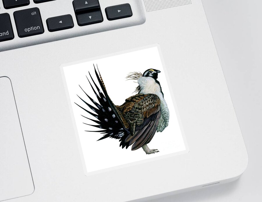 No People; Vertical; Side View; Full Length; White Background; One Animal; Wildlife; Illustration And Painting; Zoology; Close Up; Bird; Feather; Beak; Animal Pattern; Wing; Tail; Sage Grouse; Centrocercus Urophasianus Sticker featuring the drawing Sage grouse by Anonymous