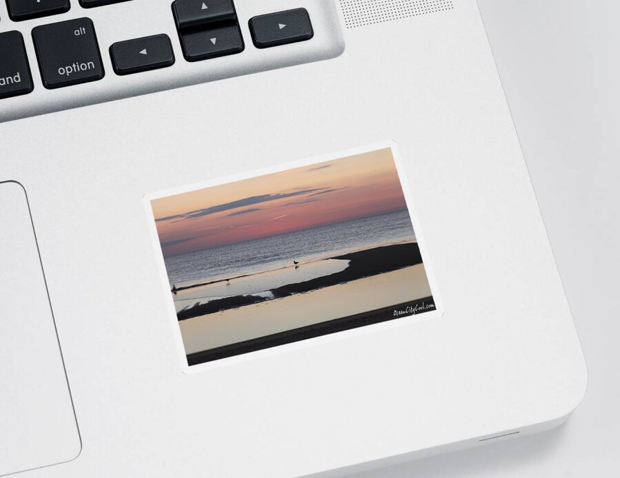Animals Sticker featuring the photograph Seagulls on the Seashore by Robert Banach
