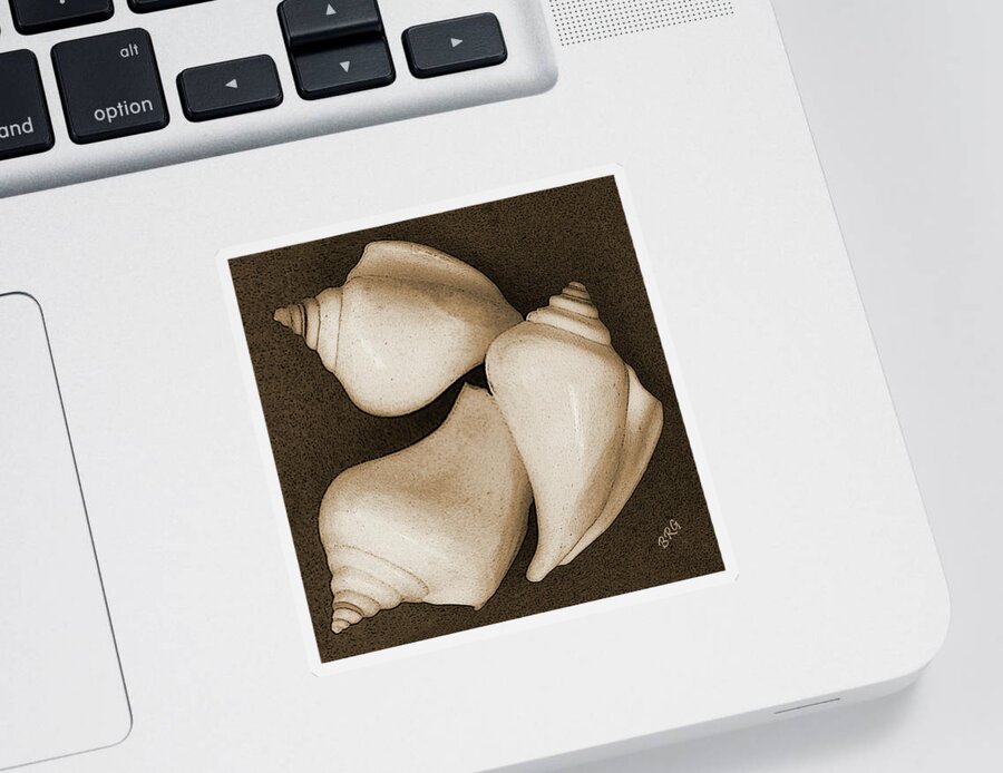 Seashell Sticker featuring the photograph Seashells Spectacular No 4 by Ben and Raisa Gertsberg