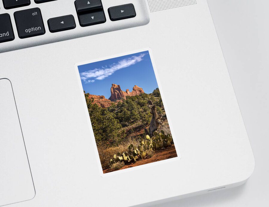 Sedona Sticker featuring the photograph Sedona Cactus and Sandstone by Mary Jo Allen