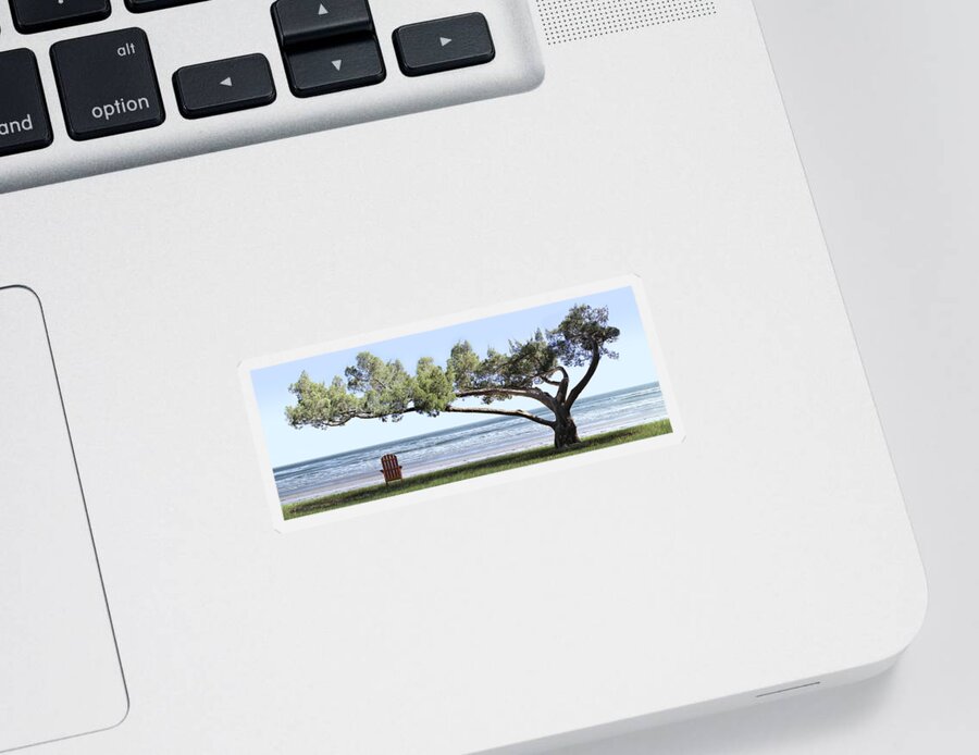 Shade Tree Sticker featuring the photograph Shade Tree Panoramic by Mike McGlothlen