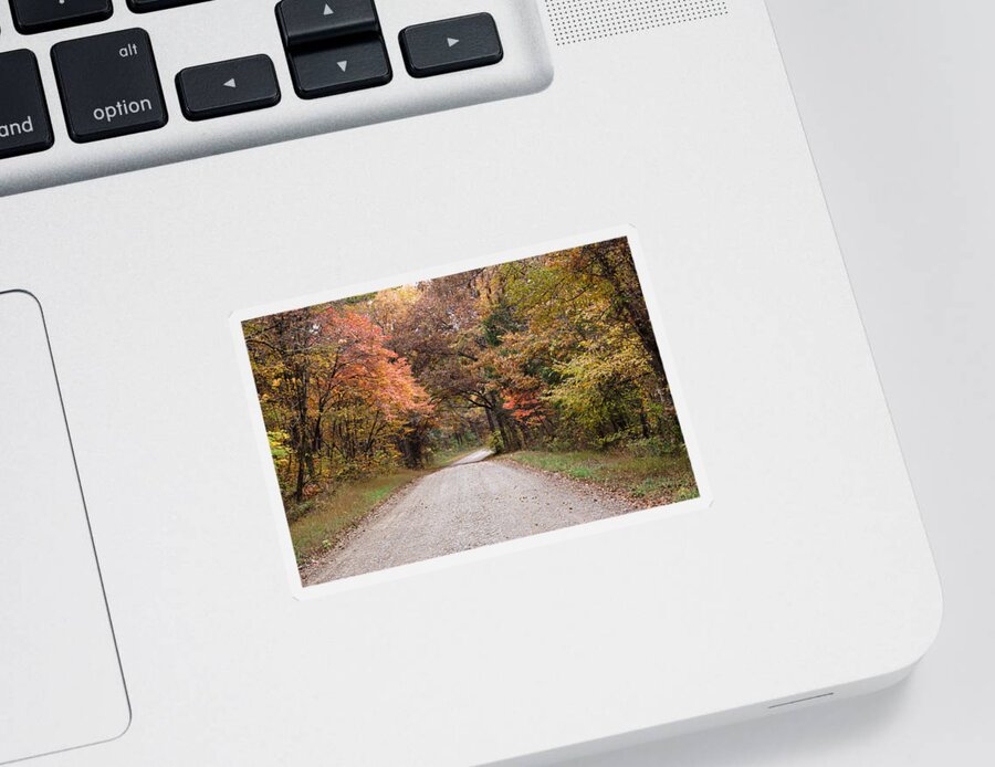 Road Sticker featuring the photograph Shawnee Forest Road by Sandy Keeton