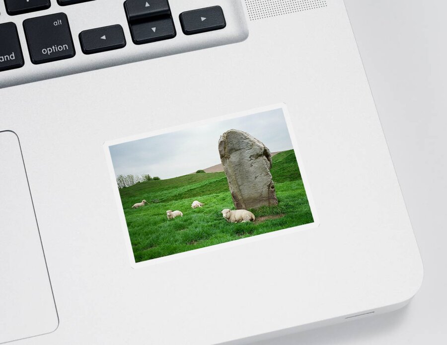 Standing Stone Sticker featuring the photograph Sheep at Avebury Stones - original by Marilyn Wilson
