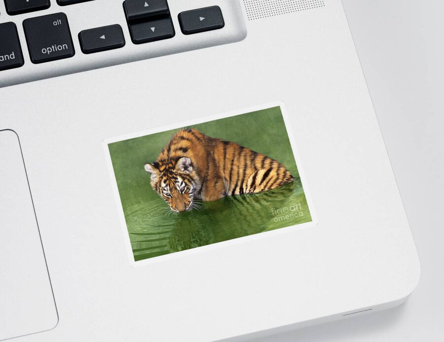Siberian Tiger Sticker featuring the photograph Siberian Tiger Cub in Pond Endangered Species Wildlife Rescue by Dave Welling