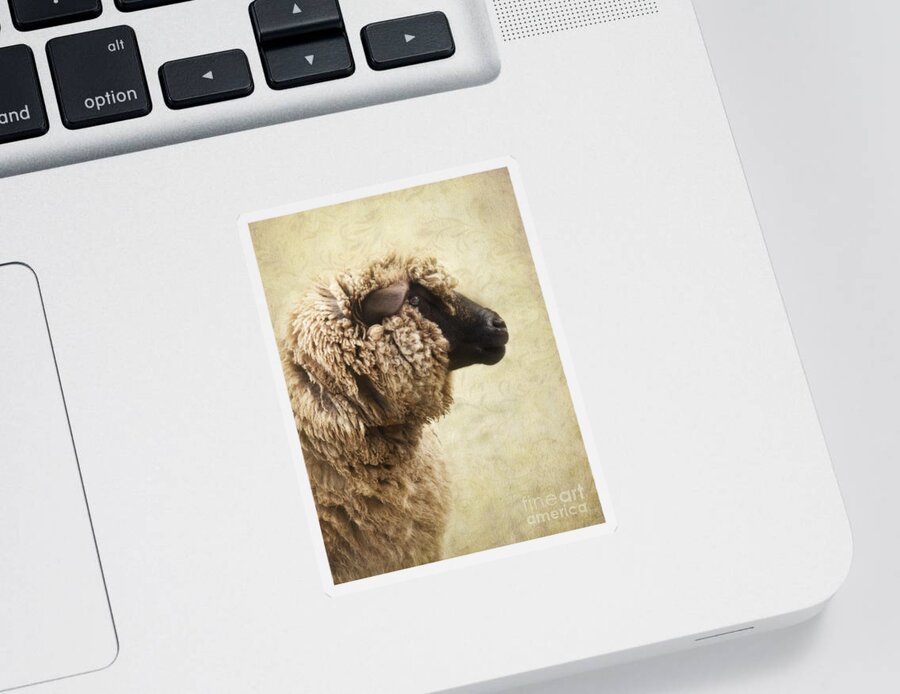 Sheep Sticker featuring the photograph Side Face Of A Sheep by Priska Wettstein