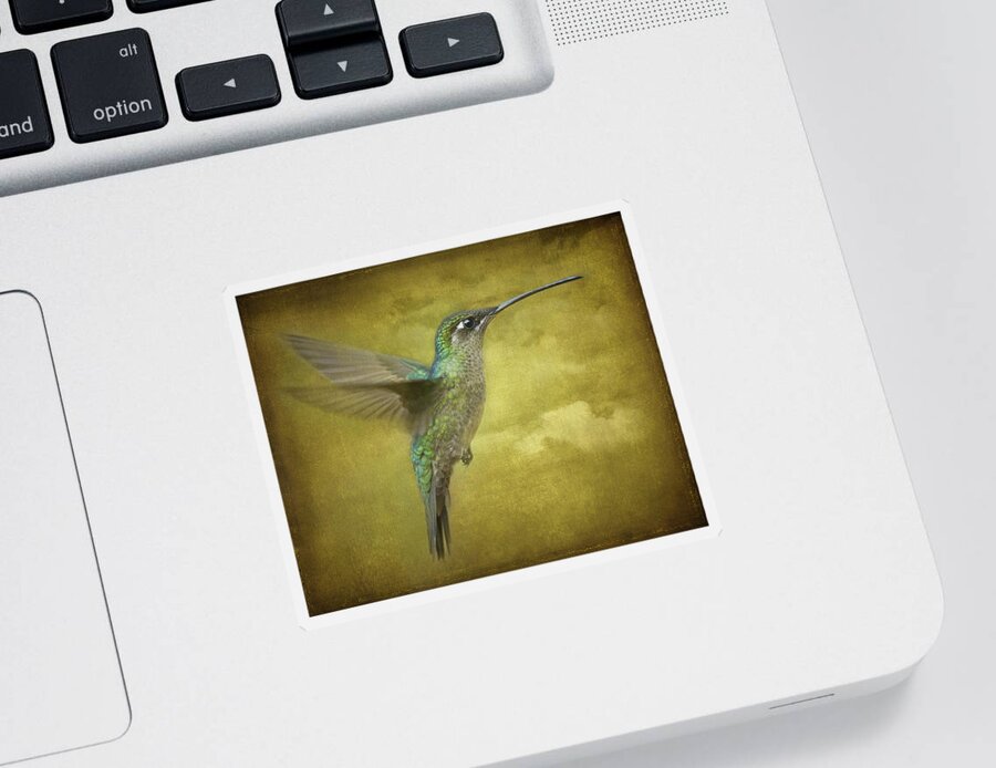 Magnificent Hummingbird Sticker featuring the photograph Simply Magnificent.. by Nina Stavlund