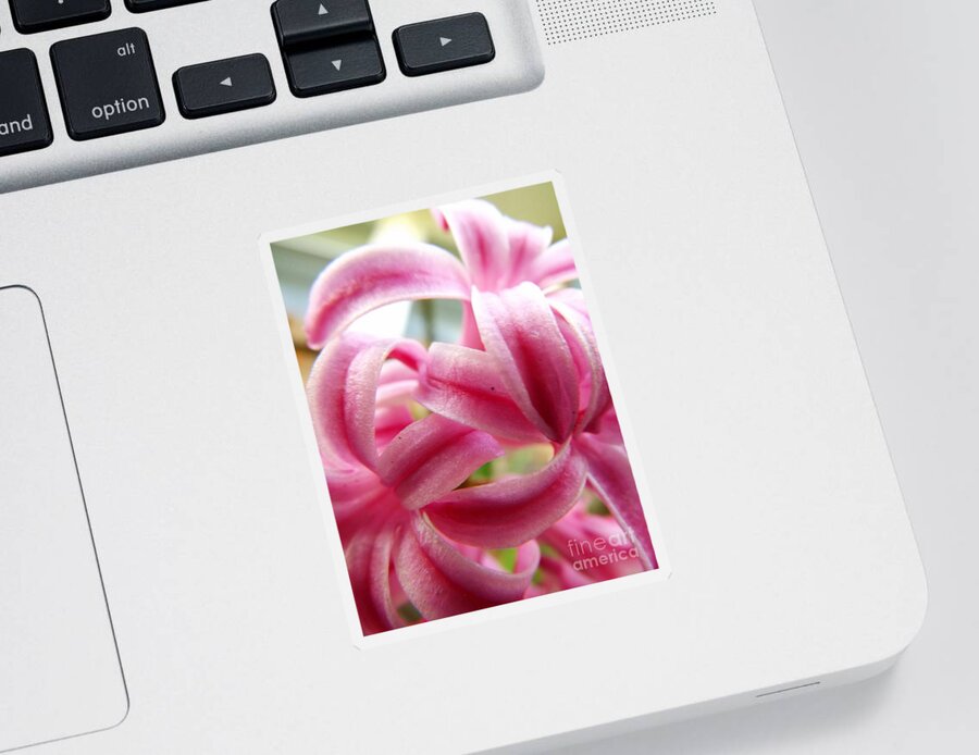 Flower Sticker featuring the photograph Simply Yours by Robyn King