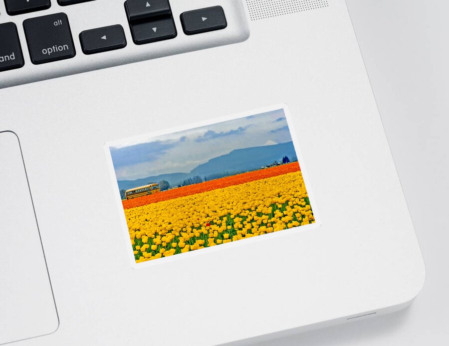 Tulips Sticker featuring the photograph Skagit Valley Tulip Field by Peggy Collins