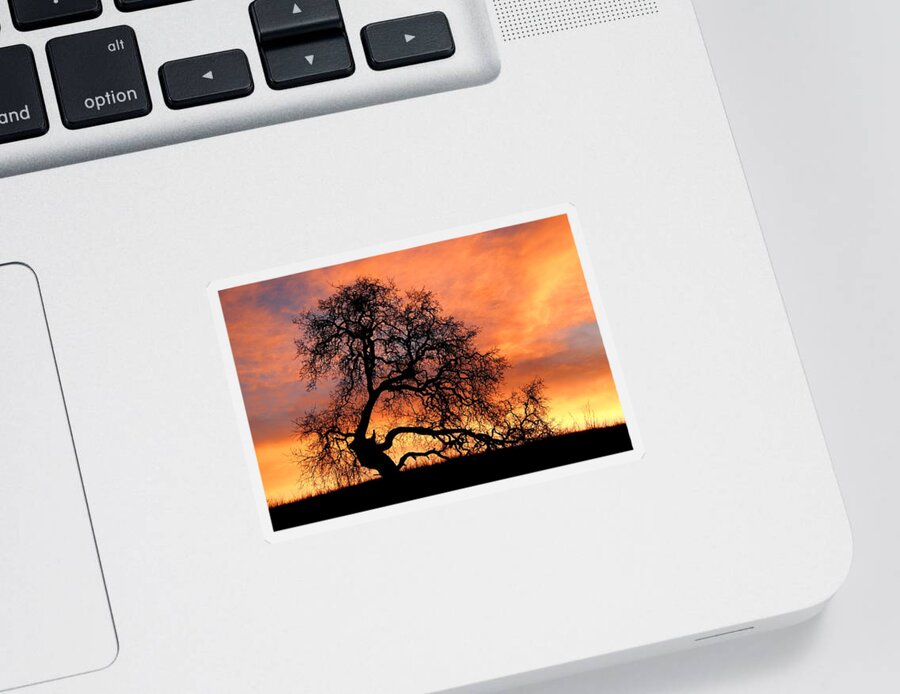 Arastradero Sticker featuring the photograph Sky On Fire by Priya Ghose