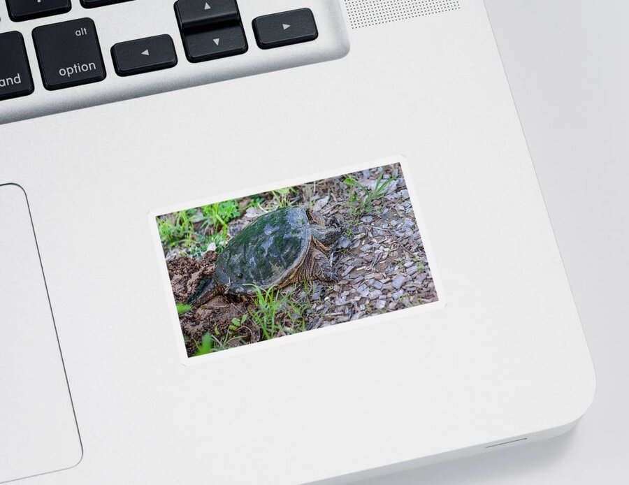 Heron Heaven Sticker featuring the photograph Snapper Eggs by Ed Peterson