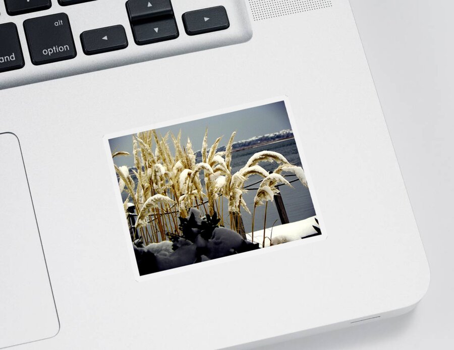 Snow Sticker featuring the photograph Snow Dust by Karen Wiles