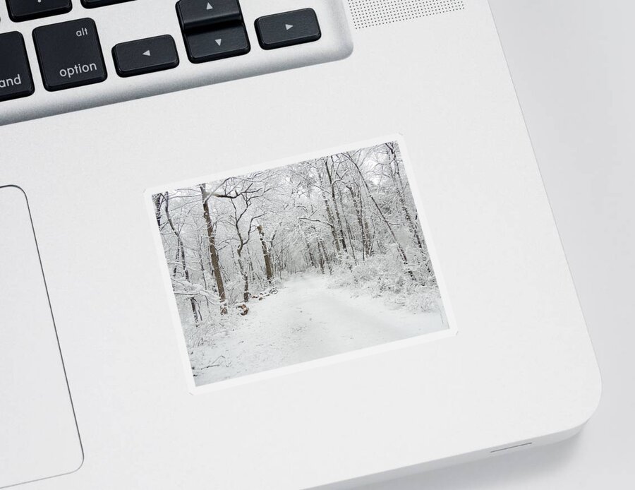 Snow In The Park Sticker featuring the photograph Snow in the Park by Raymond Salani III