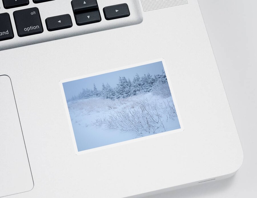 Alaska Sticker featuring the photograph Snow on New Years Eve by Tim Newton