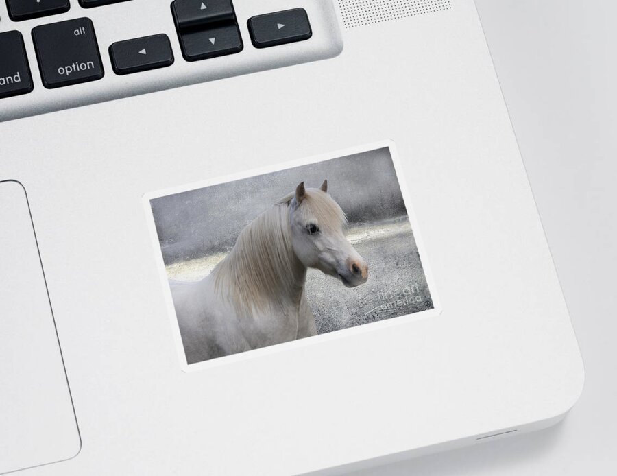 Pony Sticker featuring the photograph Snow Pony by Linda Lees